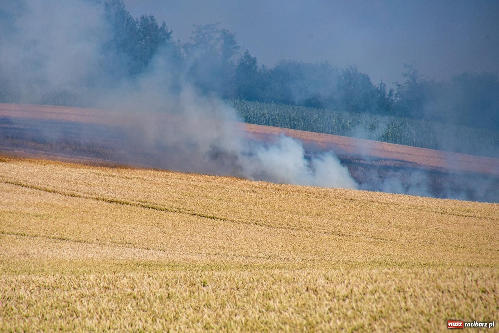 Zdjęcie w galerii na portalu naszraciborz.pl: Niebezpieczna niedziela w powiecie raciborskim – pożar zboża, tlenek węgla i skutki silnego wiatru wiadomości z regionu