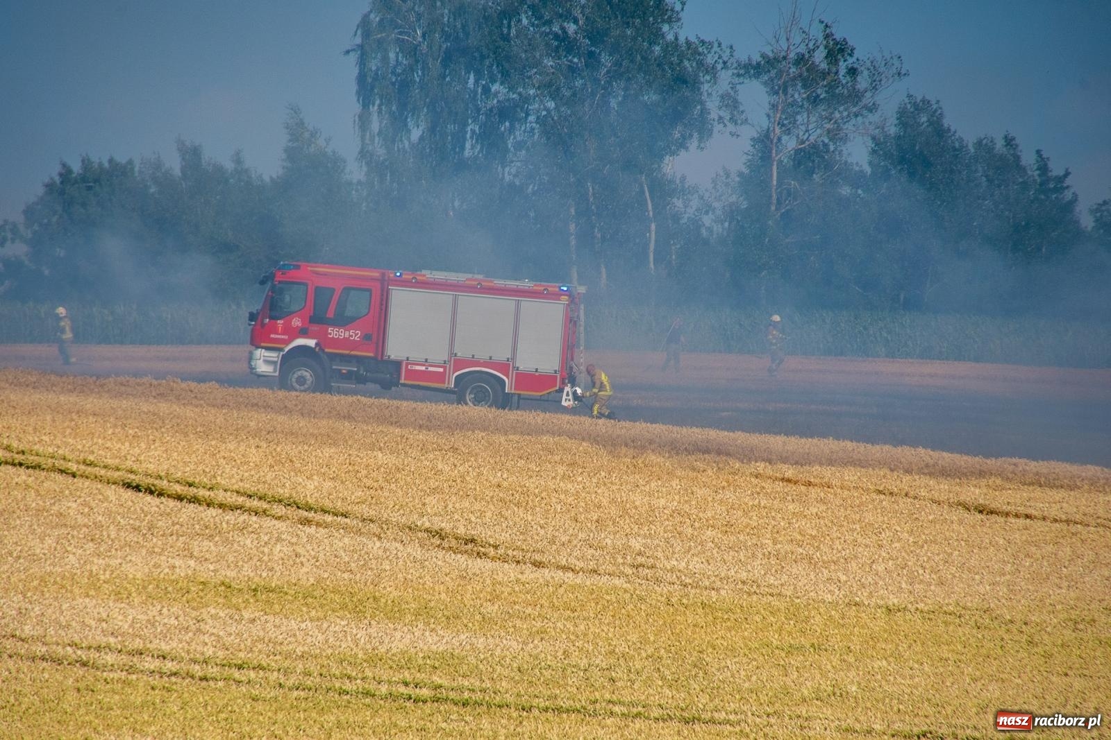 Zdjęcie w galerii na portalu naszraciborz.pl: Niebezpieczna niedziela w powiecie raciborskim – pożar zboża, tlenek węgla i skutki silnego wiatru wiadomości z regionu