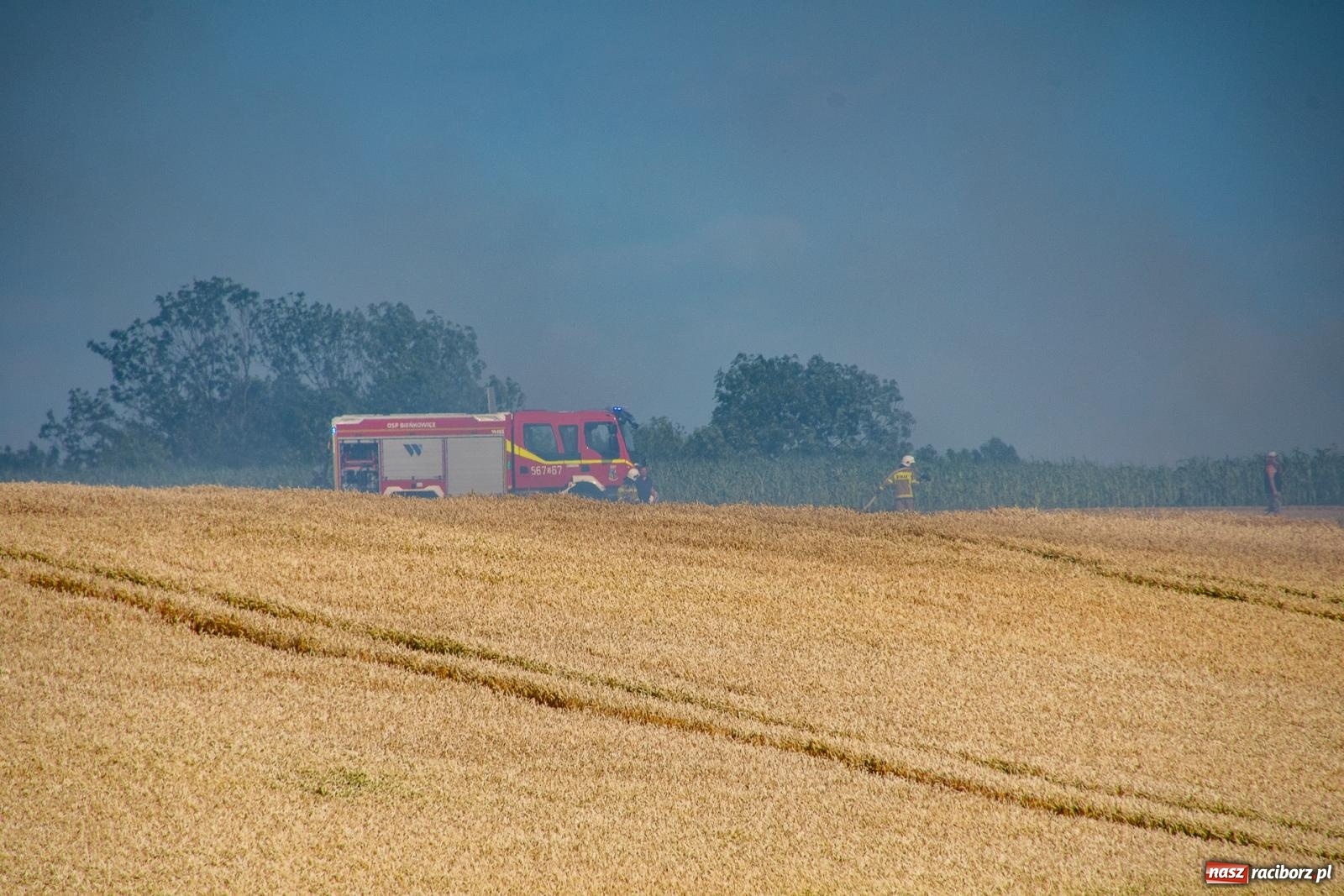 Zdjęcie w galerii na portalu naszraciborz.pl: Niebezpieczna niedziela w powiecie raciborskim – pożar zboża, tlenek węgla i skutki silnego wiatru wiadomości z regionu