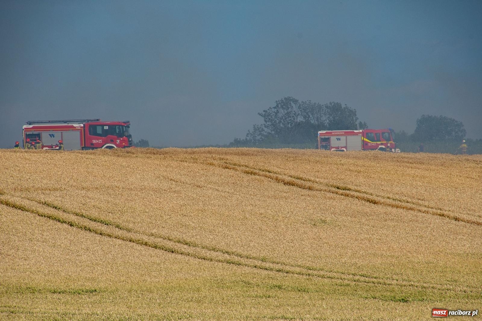 Zdjęcie w galerii na portalu naszraciborz.pl: Niebezpieczna niedziela w powiecie raciborskim – pożar zboża, tlenek węgla i skutki silnego wiatru wiadomości z regionu