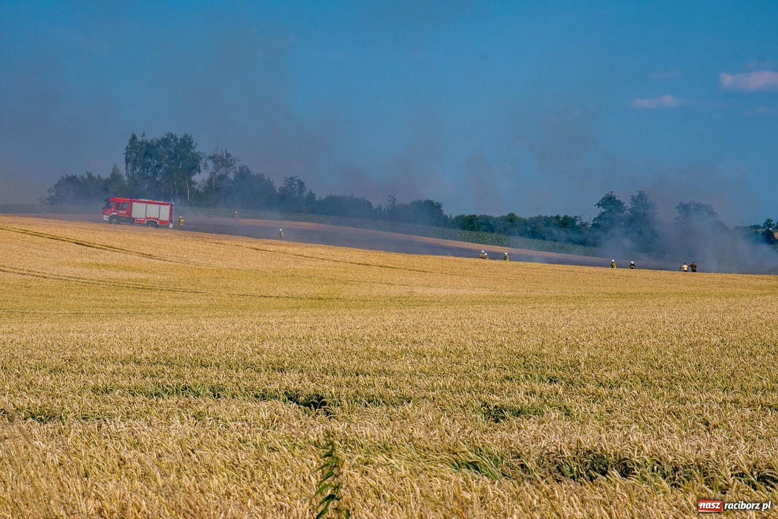 Zdjęcie w galerii na portalu naszraciborz.pl: Niebezpieczna niedziela w powiecie raciborskim – pożar zboża, tlenek węgla i skutki silnego wiatru wiadomości z regionu