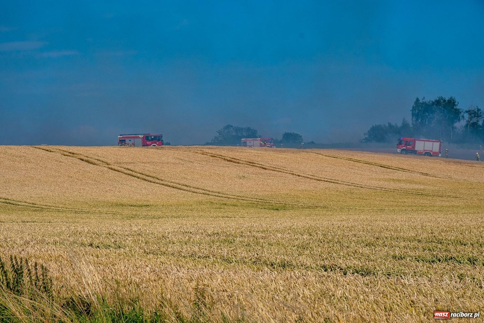 Zdjęcie w galerii na portalu naszraciborz.pl: Niebezpieczna niedziela w powiecie raciborskim – pożar zboża, tlenek węgla i skutki silnego wiatru wiadomości z regionu