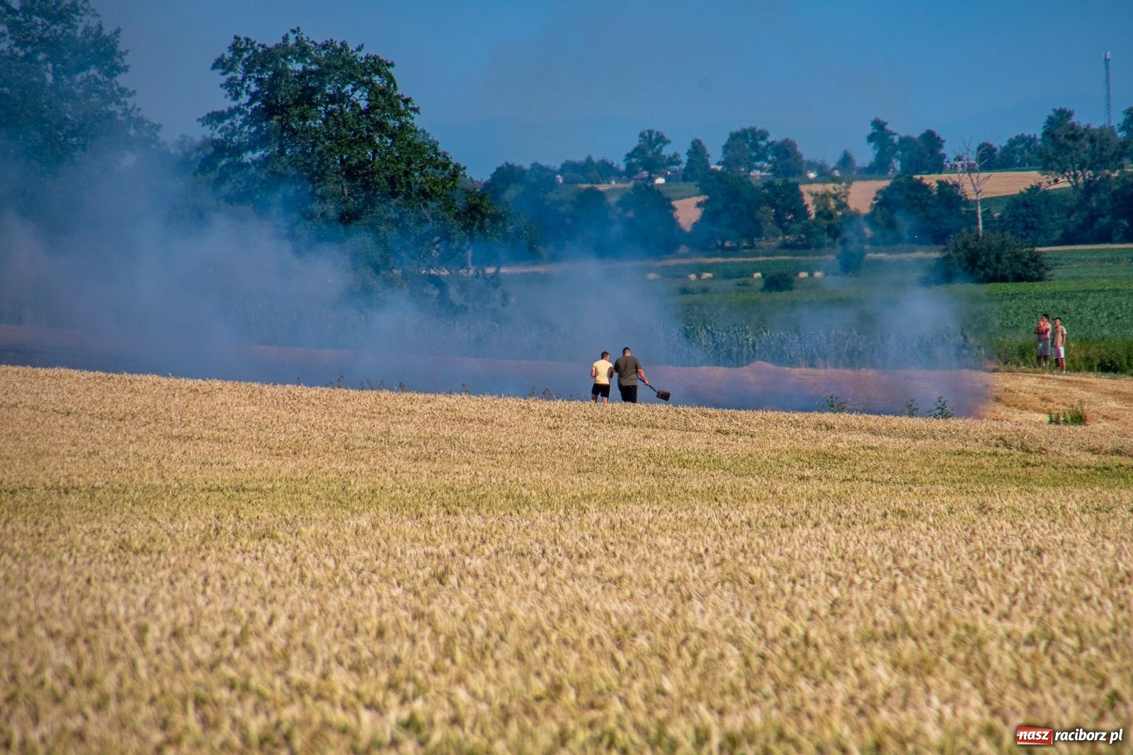 Zdjęcie w galerii na portalu naszraciborz.pl: Niebezpieczna niedziela w powiecie raciborskim – pożar zboża, tlenek węgla i skutki silnego wiatru wiadomości z regionu