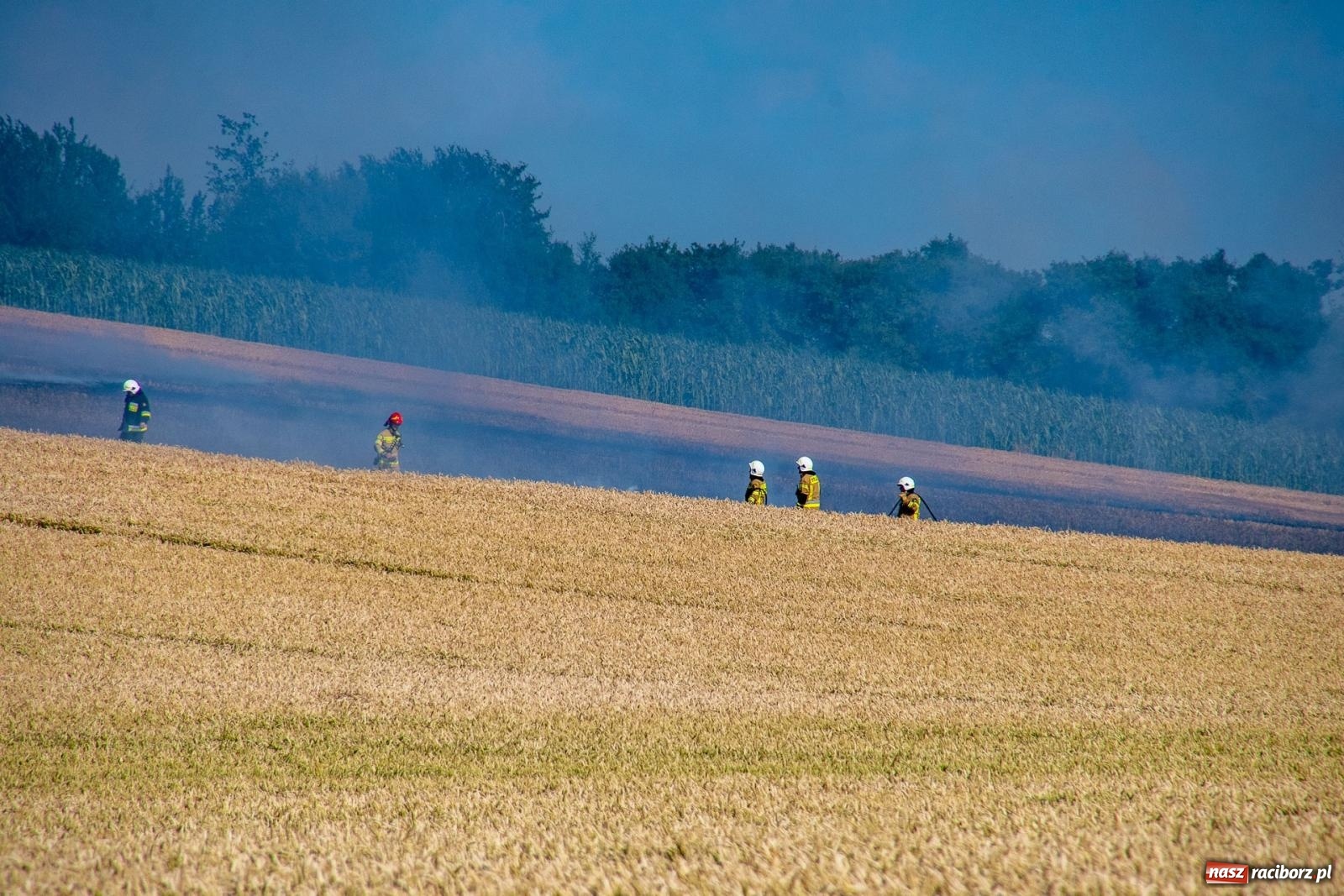 Zdjęcie w galerii na portalu naszraciborz.pl: Niebezpieczna niedziela w powiecie raciborskim – pożar zboża, tlenek węgla i skutki silnego wiatru wiadomości z regionu