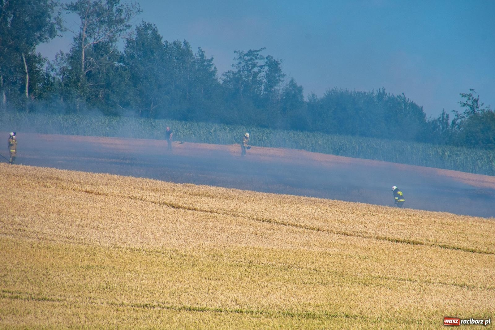 Zdjęcie w galerii na portalu naszraciborz.pl: Niebezpieczna niedziela w powiecie raciborskim – pożar zboża, tlenek węgla i skutki silnego wiatru wiadomości z regionu
