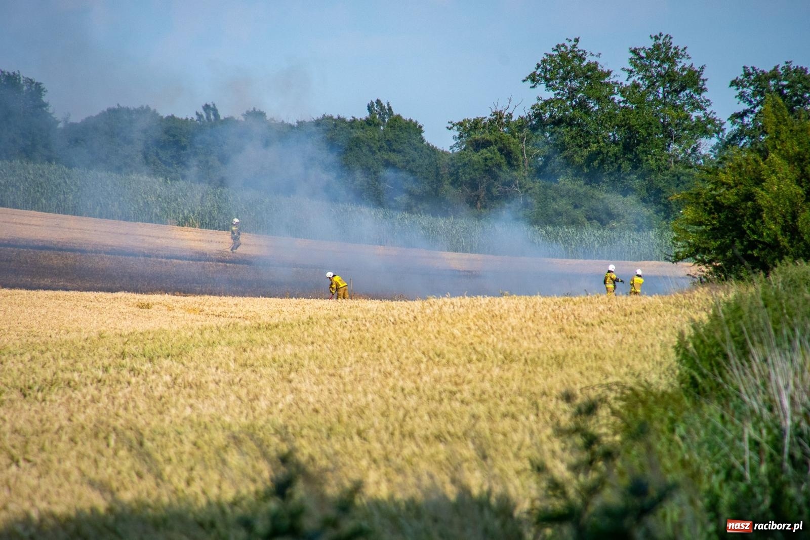 Zdjęcie w galerii na portalu naszraciborz.pl: Niebezpieczna niedziela w powiecie raciborskim – pożar zboża, tlenek węgla i skutki silnego wiatru wiadomości z regionu