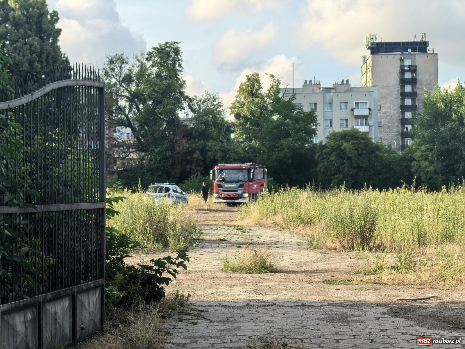 Zdjęcie w galerii na portalu naszraciborz.pl: Silny wiatr i drobne zdarzenia – straż pożarna interweniowała w powiecie raciborskim wiadomości z regionu