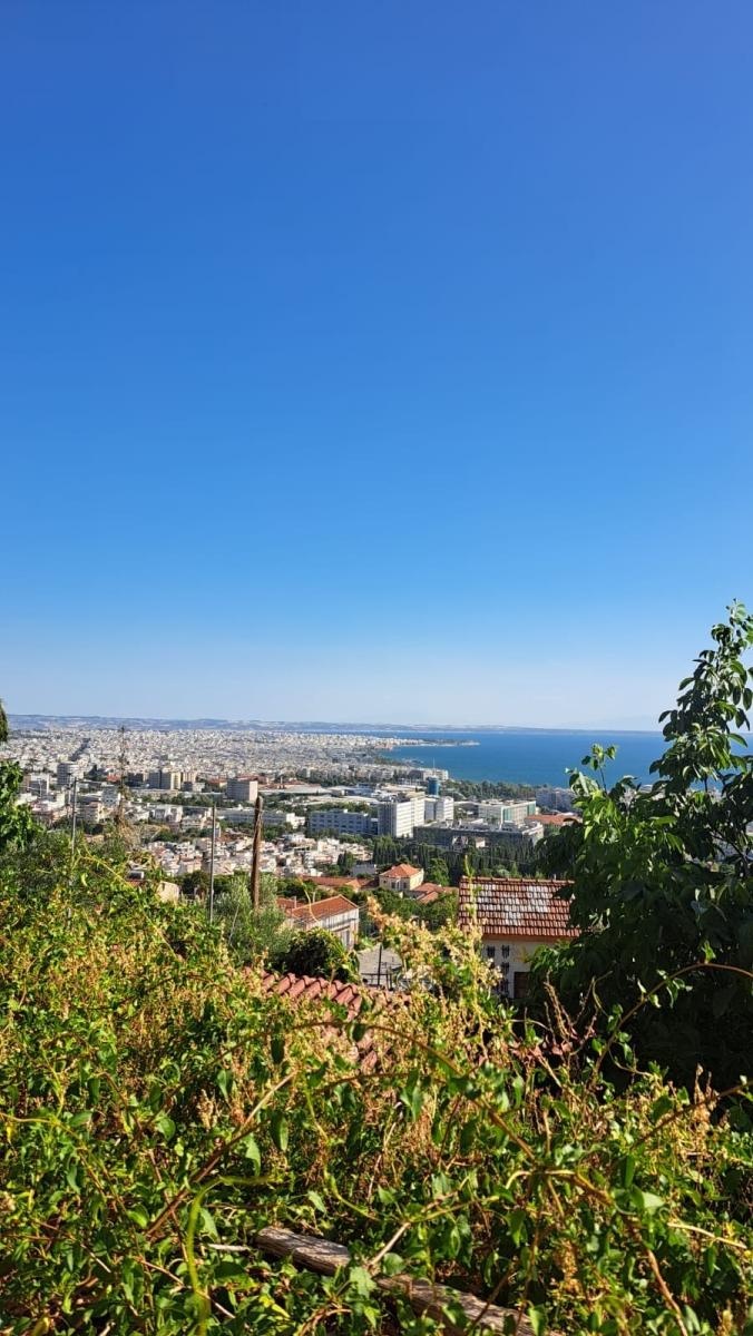 Zdjęcie w galerii na portalu naszraciborz.pl: Bartula Fight Club Racibórz szykuje formę w Grecji wiadomości z regionu