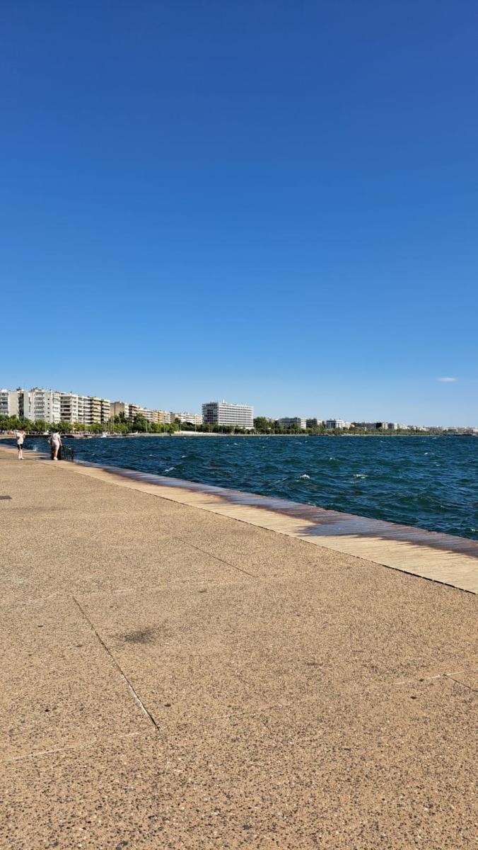 Zdjęcie w galerii na portalu naszraciborz.pl: Bartula Fight Club Racibórz szykuje formę w Grecji wiadomości z regionu