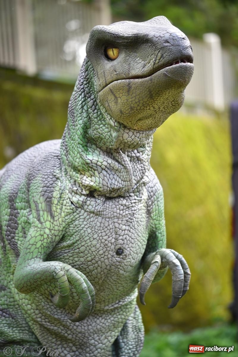 Zdjęcie w galerii na portalu naszraciborz.pl: Dinozaur na bulwarach i bańkowa kraina zabawy ze smokiem Edziem w Raciborzu wiadomości z regionu