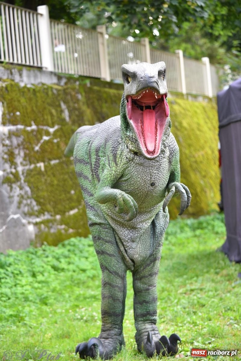 Zdjęcie w galerii na portalu naszraciborz.pl: Dinozaur na bulwarach i bańkowa kraina zabawy ze smokiem Edziem w Raciborzu wiadomości z regionu