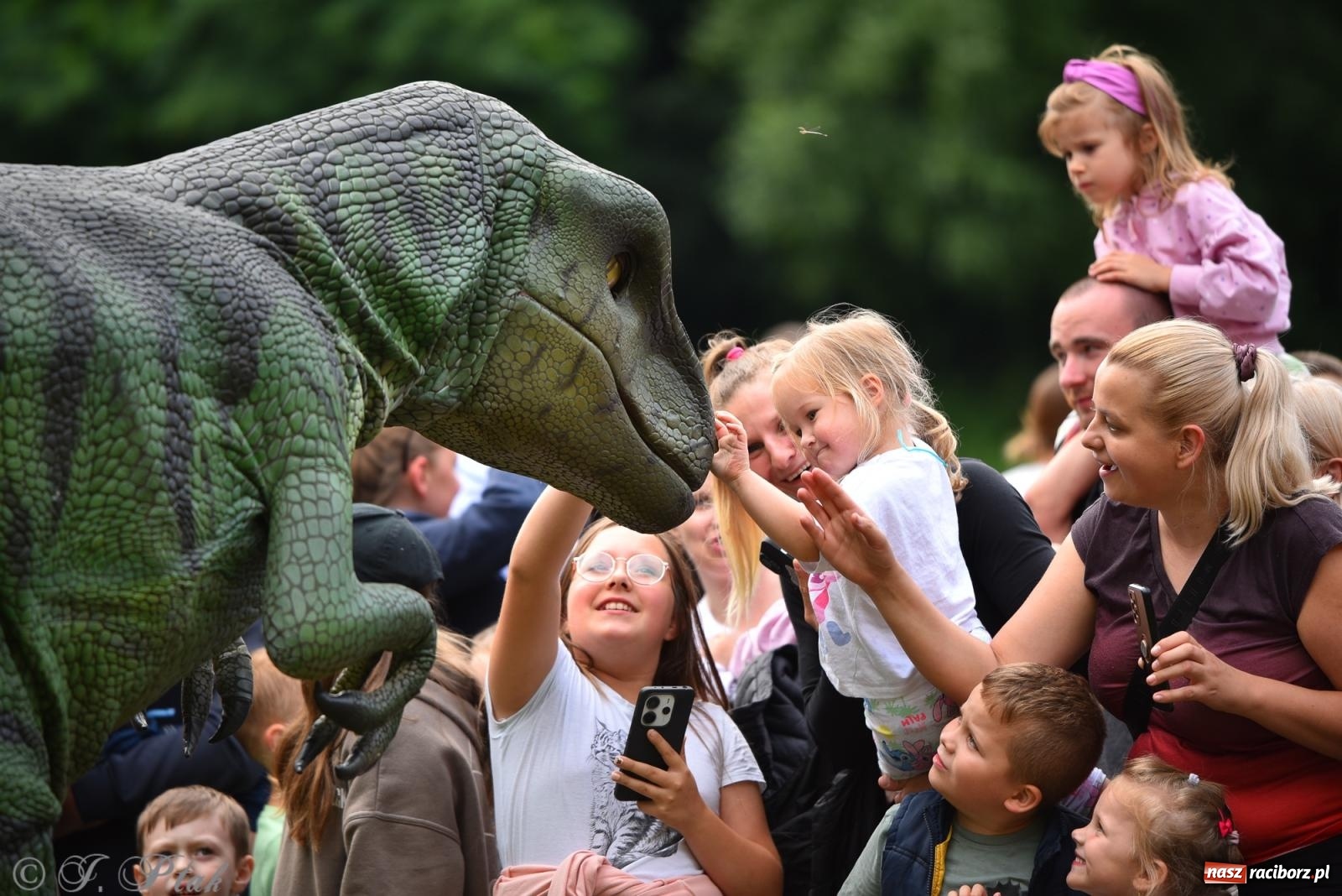 Zdjęcie w galerii na portalu naszraciborz.pl: Dinozaur na bulwarach i bańkowa kraina zabawy ze smokiem Edziem w Raciborzu wiadomości z regionu