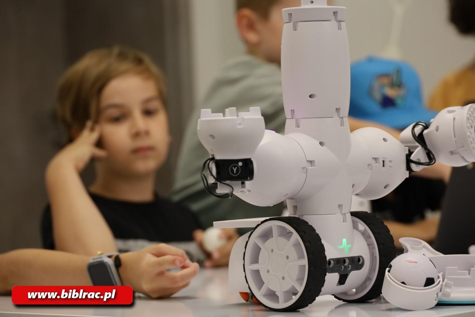 Zdjęcie w galerii na portalu naszraciborz.pl: Walki robotów w raciborskiej bibliotece wiadomości z regionu