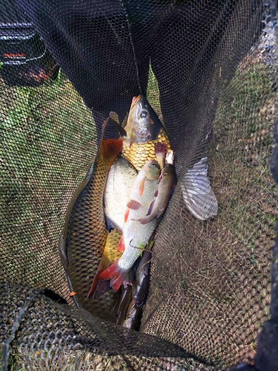 Zdjęcie w galerii na portalu naszraciborz.pl: Wędkarstwo łączy pokolenia – Puchar Wójta Gminy Nędza wręczony wiadomości z regionu