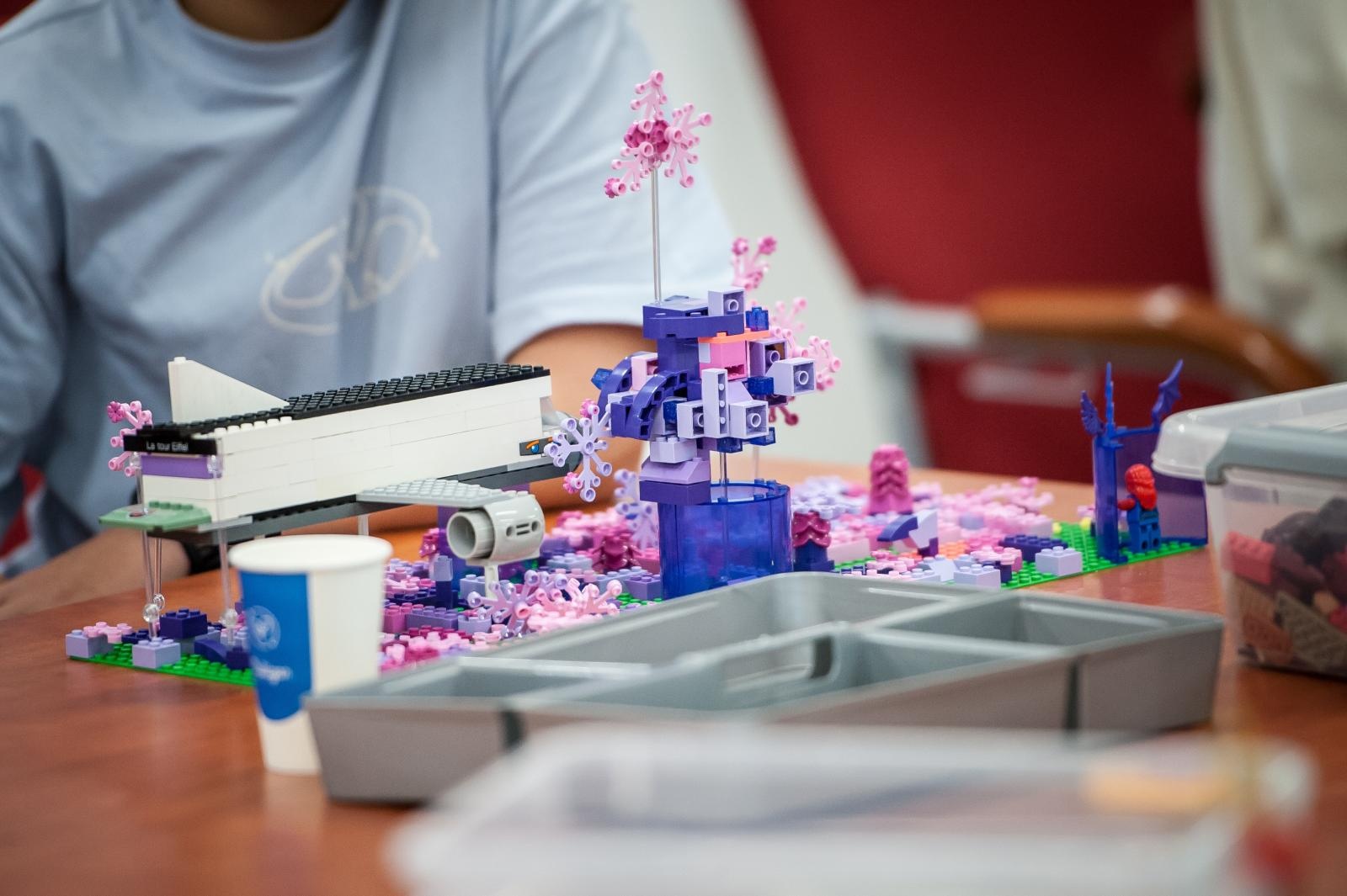 Zdjęcie w galerii na portalu naszraciborz.pl: Ciocia od Klocków na Zamku Piastowskim. Warsztaty LEGO w ramach Wakacji w Powiecie wiadomości z regionu