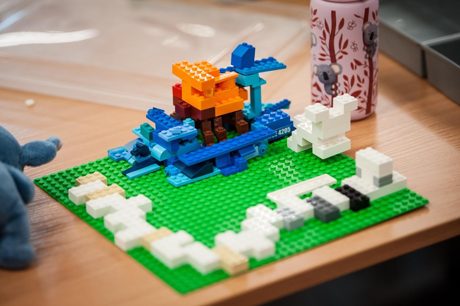 Zdjęcie w galerii na portalu naszraciborz.pl: Ciocia od Klocków na Zamku Piastowskim. Warsztaty LEGO w ramach Wakacji w Powiecie wiadomości z regionu