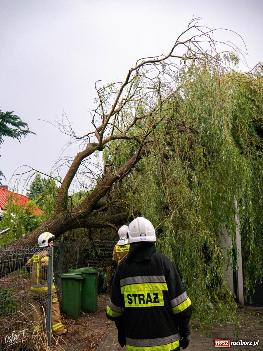 Zdjęcie w galerii na portalu naszraciborz.pl: Silny wiatr i ulewa przysporzyły pracy strażakom. Seria interwencji w Nędzy [FOTO] wiadomości z regionu