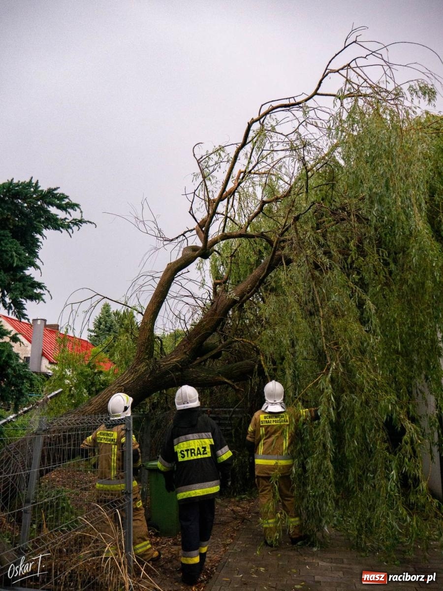Zdjęcie w galerii na portalu naszraciborz.pl: Silny wiatr i ulewa przysporzyły pracy strażakom. Seria interwencji w Nędzy [FOTO] wiadomości z regionu