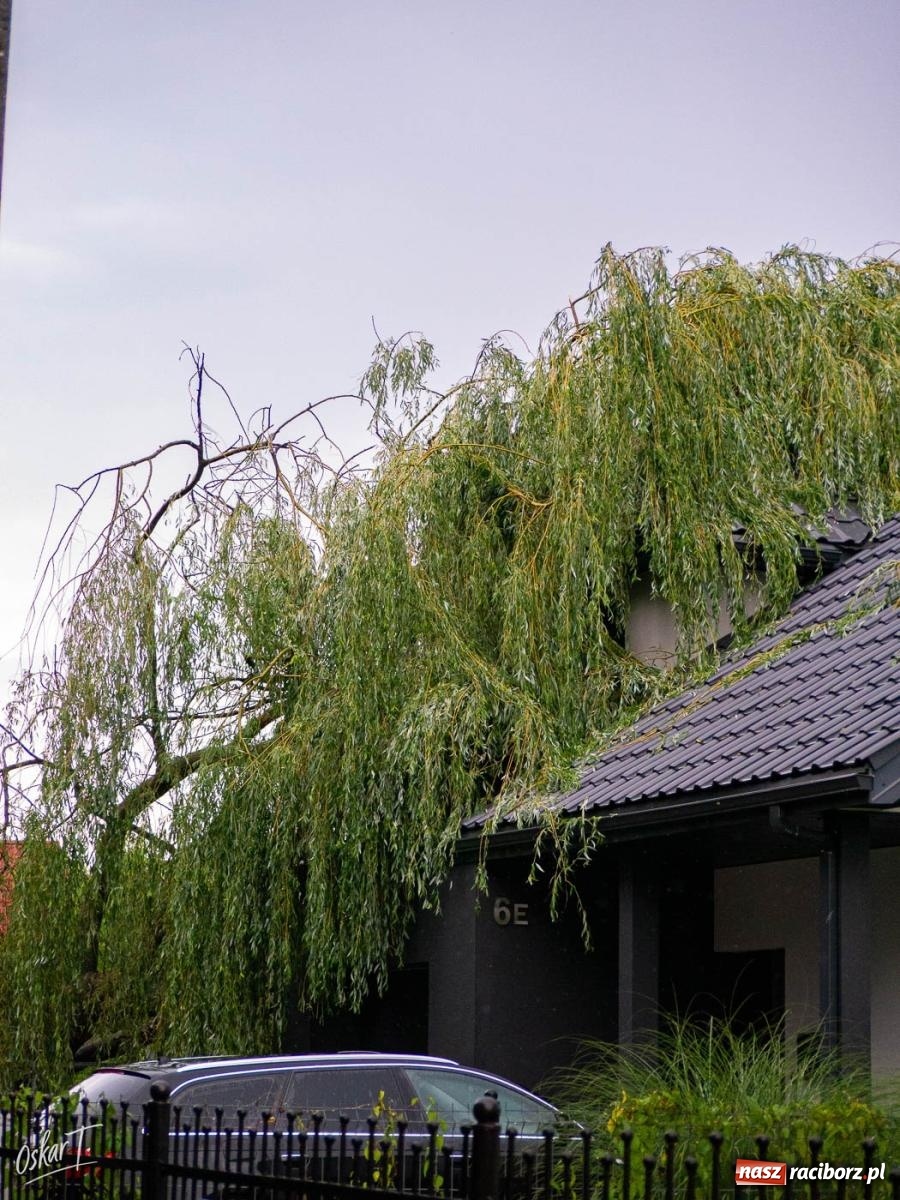 Zdjęcie w galerii na portalu naszraciborz.pl: Silny wiatr i ulewa przysporzyły pracy strażakom. Seria interwencji w Nędzy [FOTO] wiadomości z regionu