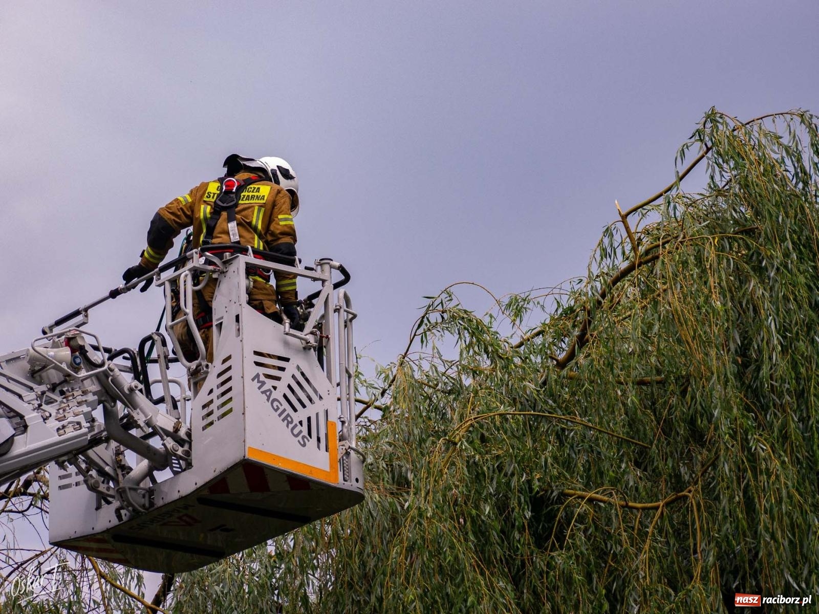 Zdjęcie w galerii na portalu naszraciborz.pl: Silny wiatr i ulewa przysporzyły pracy strażakom. Seria interwencji w Nędzy [FOTO] wiadomości z regionu