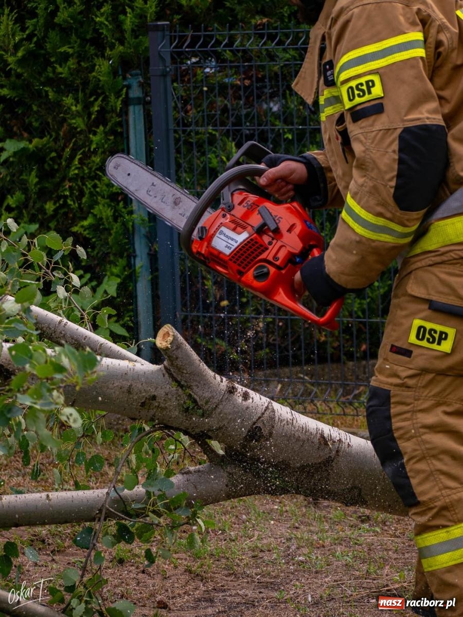 Zdjęcie w galerii na portalu naszraciborz.pl: Silny wiatr i ulewa przysporzyły pracy strażakom. Seria interwencji w Nędzy [FOTO] wiadomości z regionu
