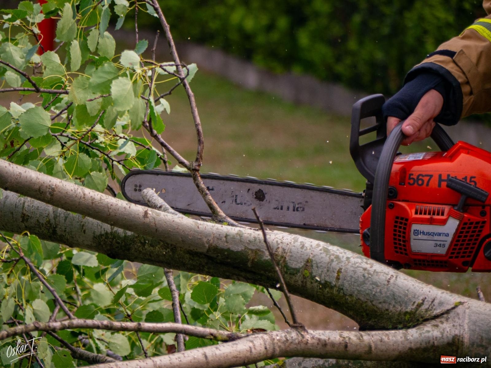 Zdjęcie w galerii na portalu naszraciborz.pl: Silny wiatr i ulewa przysporzyły pracy strażakom. Seria interwencji w Nędzy [FOTO] wiadomości z regionu