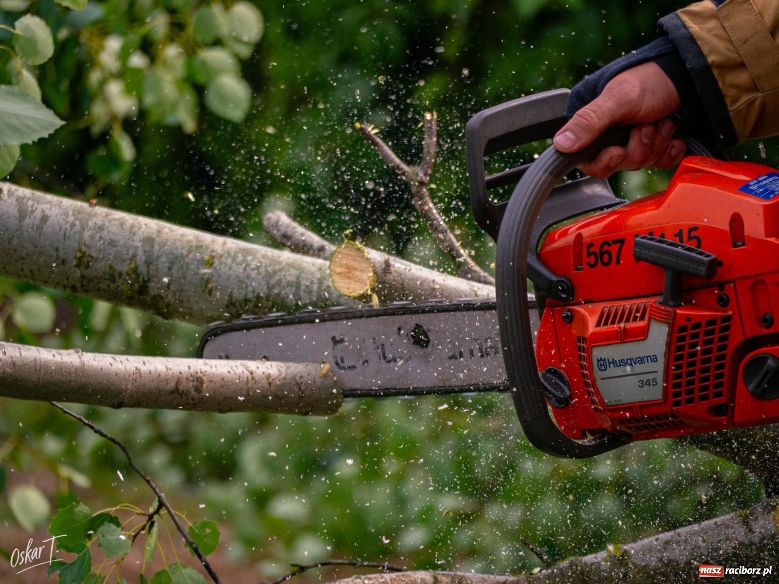 Zdjęcie w galerii na portalu naszraciborz.pl: Silny wiatr i ulewa przysporzyły pracy strażakom. Seria interwencji w Nędzy [FOTO] wiadomości z regionu