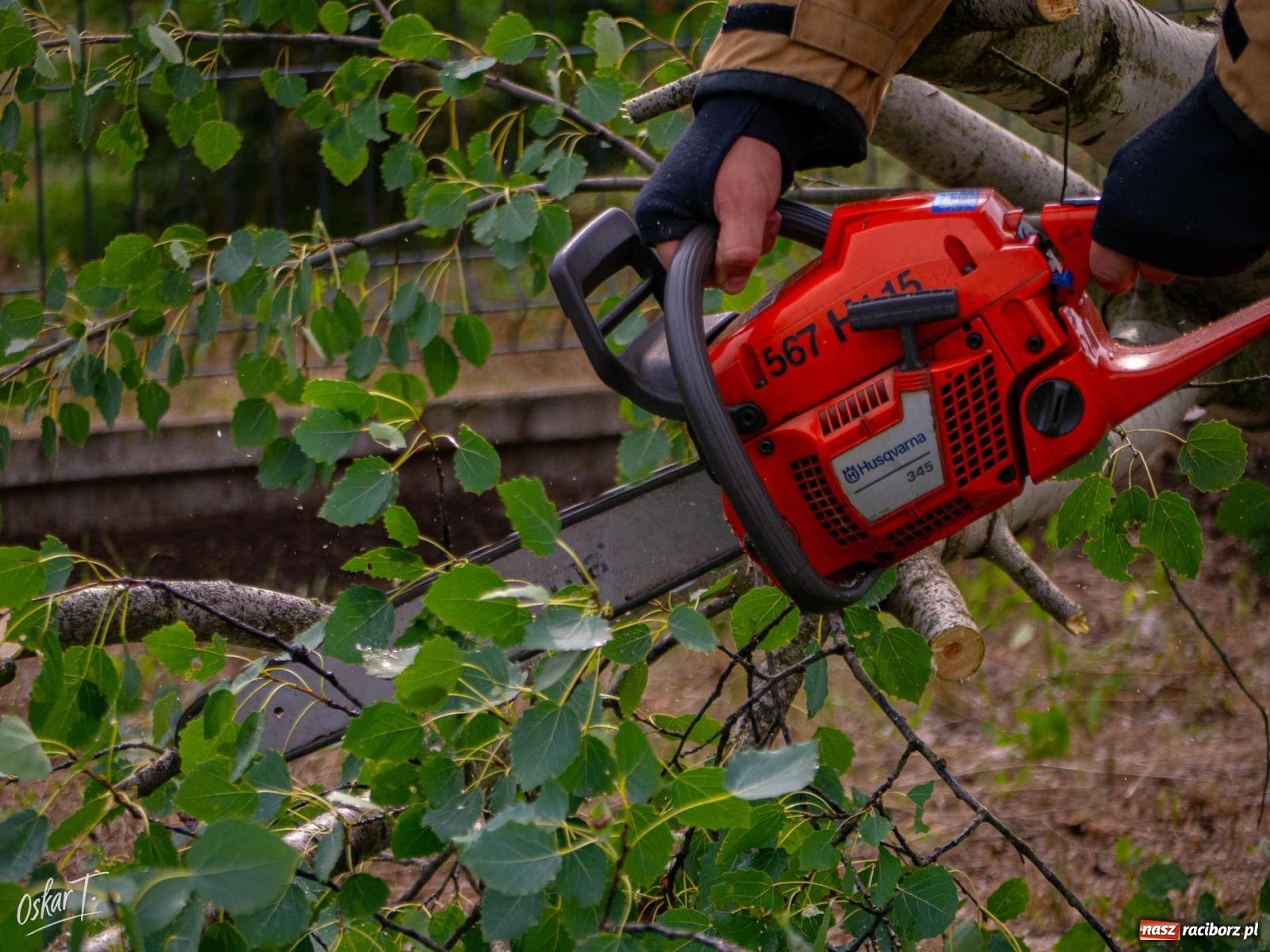 Zdjęcie w galerii na portalu naszraciborz.pl: Silny wiatr i ulewa przysporzyły pracy strażakom. Seria interwencji w Nędzy [FOTO] wiadomości z regionu