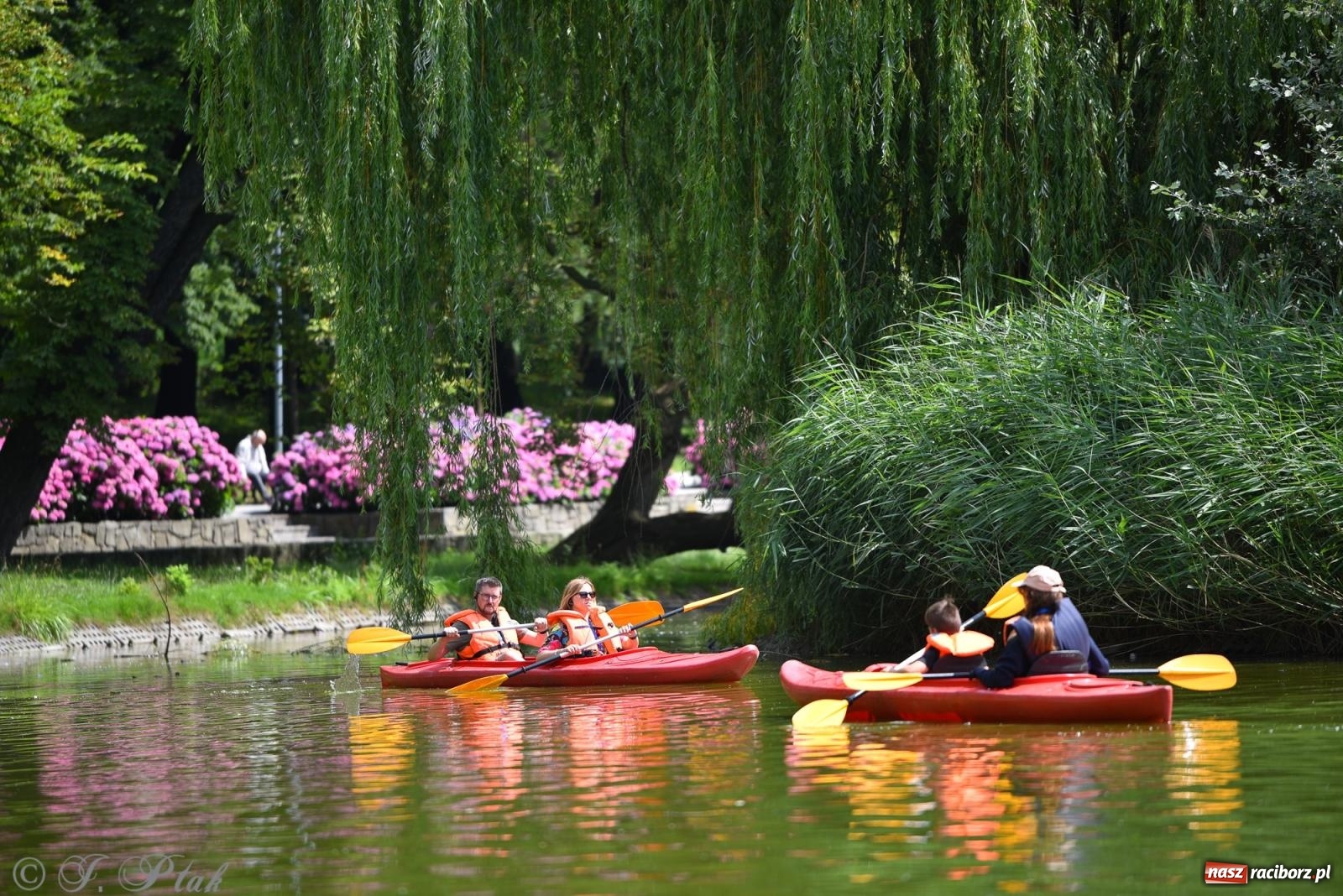 Zdjęcie w galerii na portalu naszraciborz.pl: Pożegnanie lata z Fundacją PORT – bezpłatny spływ kajakowy w Parku im. Miasta Roth wiadomości z regionu
