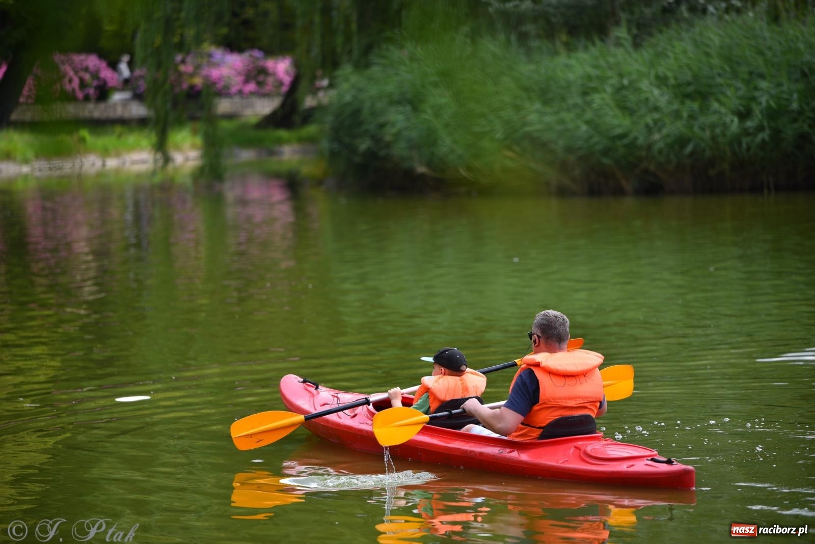 Zdjęcie w galerii na portalu naszraciborz.pl: Pożegnanie lata z Fundacją PORT – bezpłatny spływ kajakowy w Parku im. Miasta Roth wiadomości z regionu