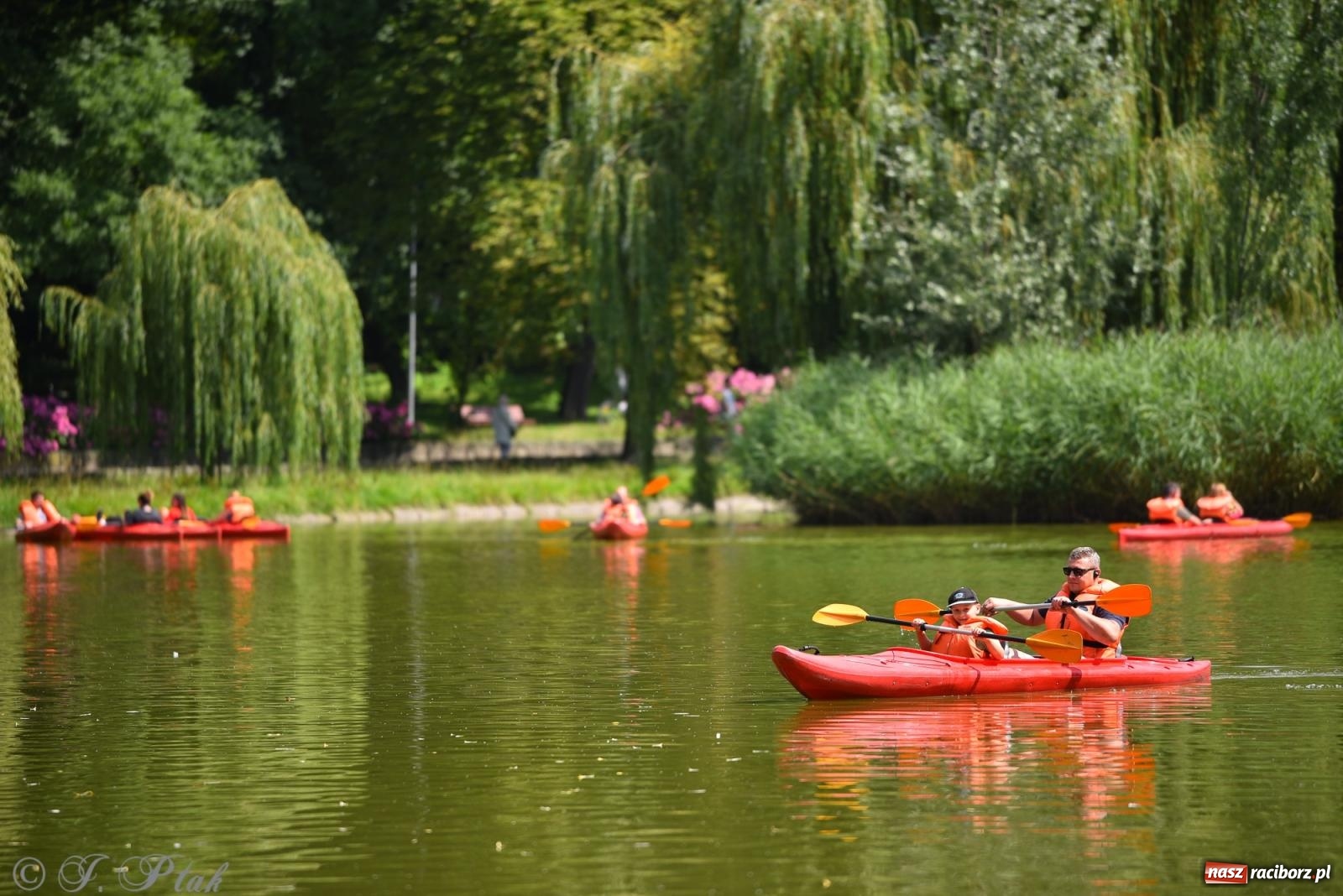 Zdjęcie w galerii na portalu naszraciborz.pl: Pożegnanie lata z Fundacją PORT – bezpłatny spływ kajakowy w Parku im. Miasta Roth wiadomości z regionu