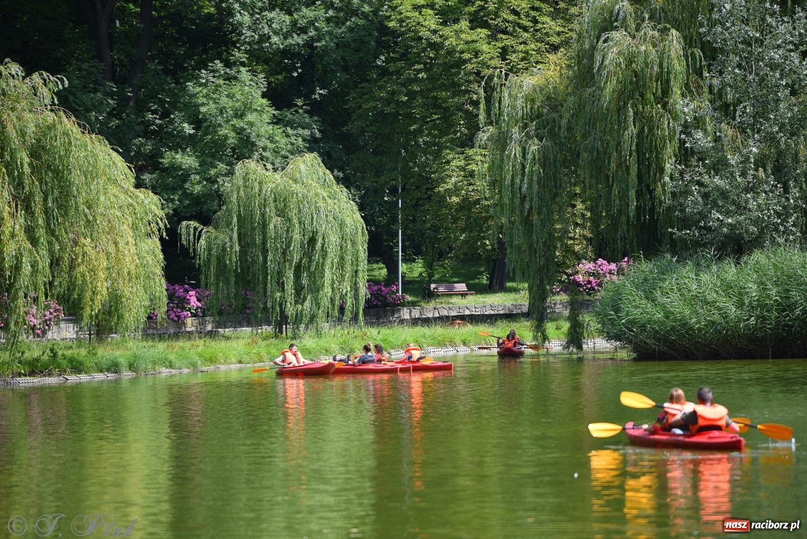 Zdjęcie w galerii na portalu naszraciborz.pl: Pożegnanie lata z Fundacją PORT – bezpłatny spływ kajakowy w Parku im. Miasta Roth wiadomości z regionu