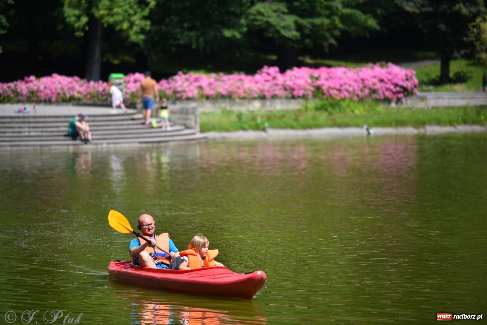 Zdjęcie w galerii na portalu naszraciborz.pl: Pożegnanie lata z Fundacją PORT – bezpłatny spływ kajakowy w Parku im. Miasta Roth wiadomości z regionu