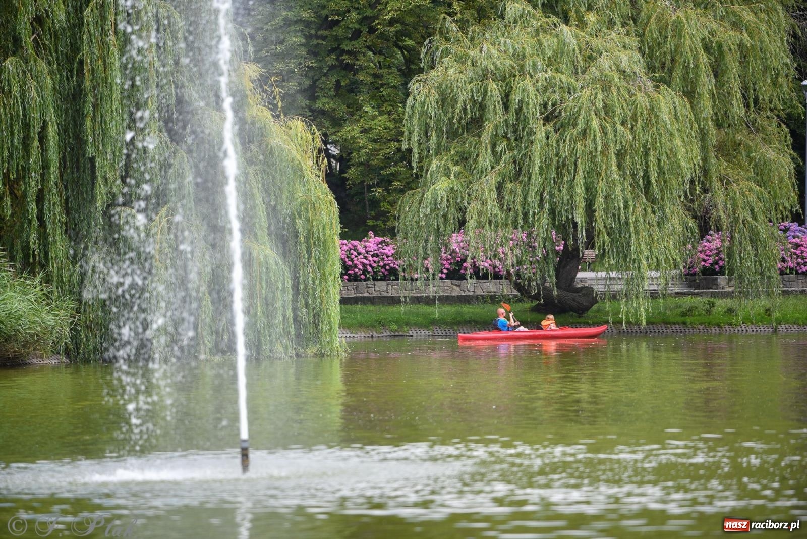 Zdjęcie w galerii na portalu naszraciborz.pl: Pożegnanie lata z Fundacją PORT – bezpłatny spływ kajakowy w Parku im. Miasta Roth wiadomości z regionu