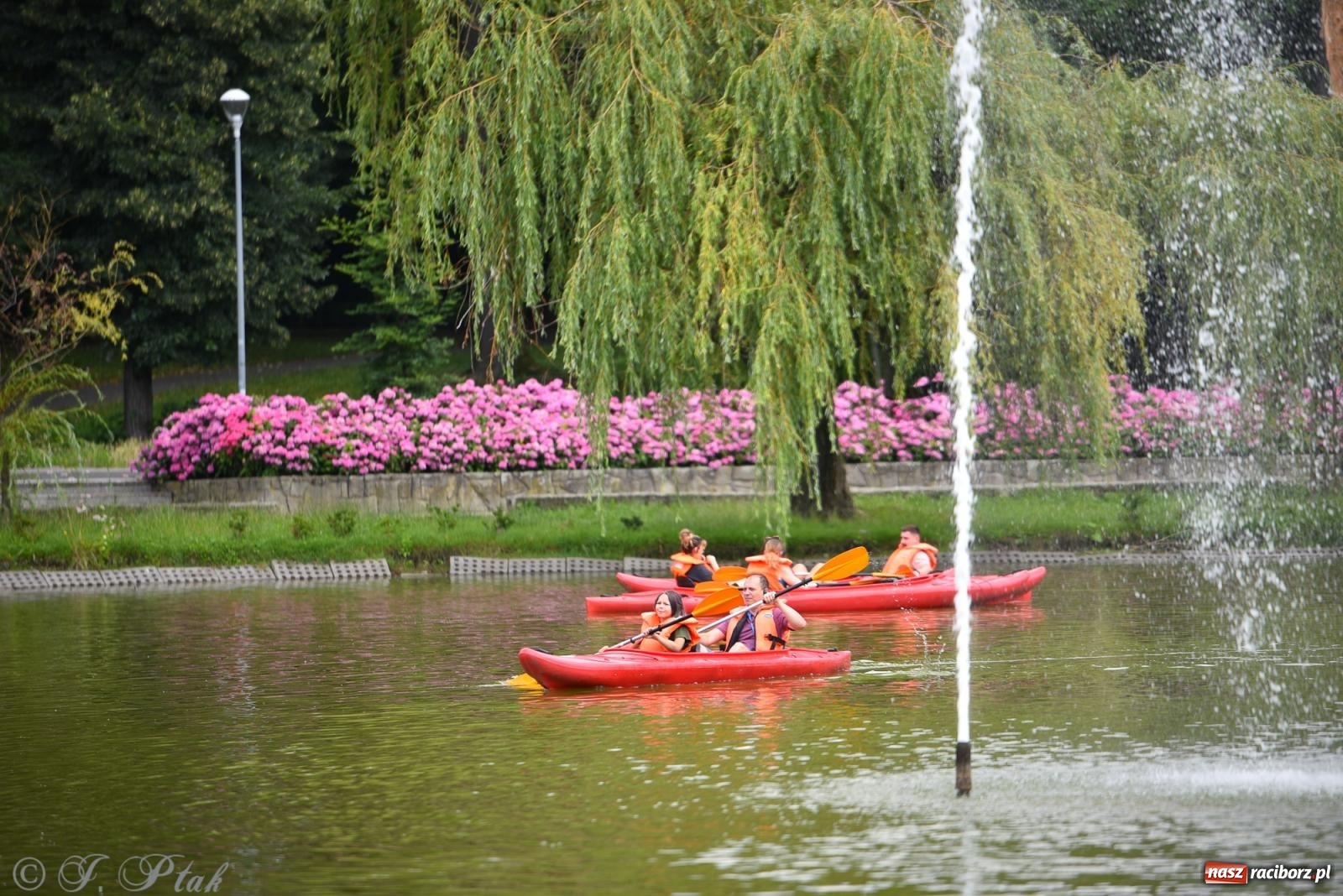 Zdjęcie w galerii na portalu naszraciborz.pl: Pożegnanie lata z Fundacją PORT – bezpłatny spływ kajakowy w Parku im. Miasta Roth wiadomości z regionu