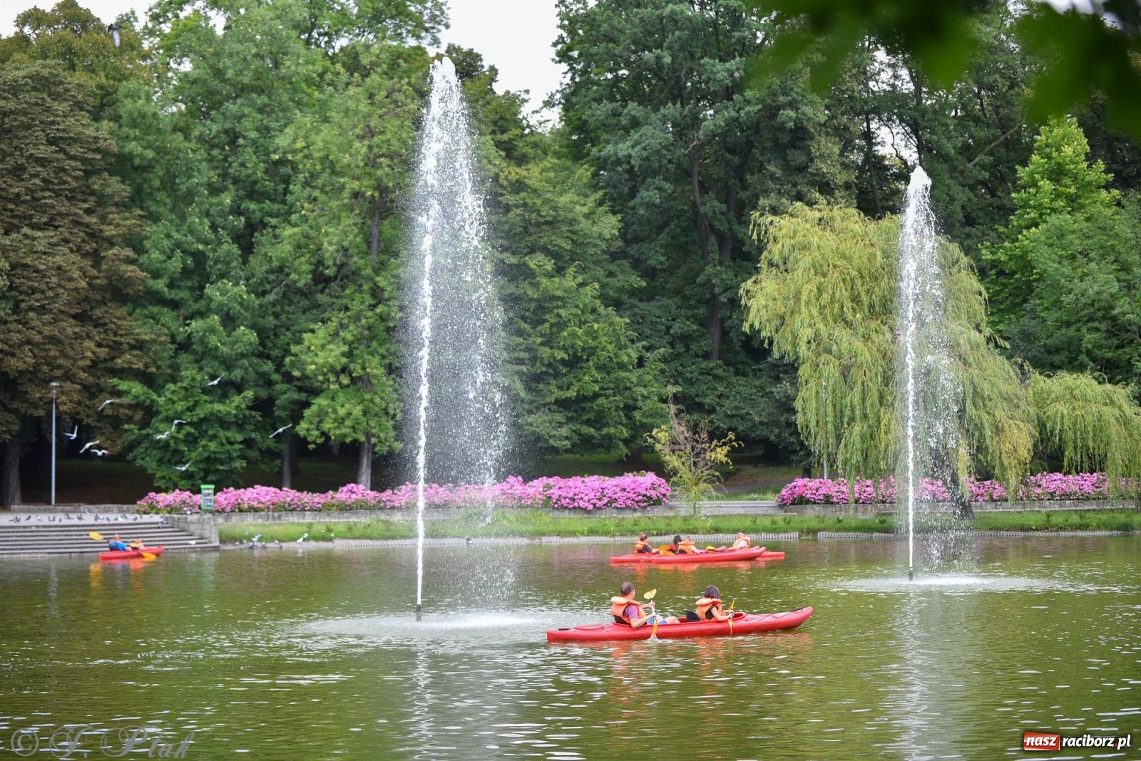 Zdjęcie w galerii na portalu naszraciborz.pl: Pożegnanie lata z Fundacją PORT – bezpłatny spływ kajakowy w Parku im. Miasta Roth wiadomości z regionu