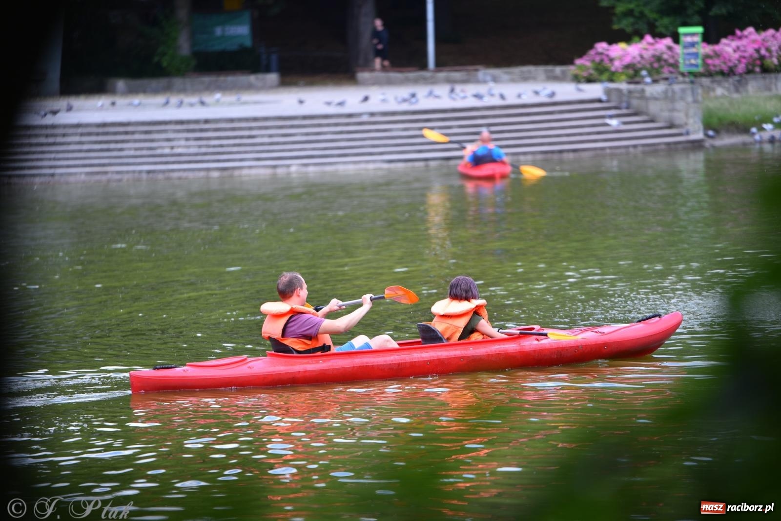Zdjęcie w galerii na portalu naszraciborz.pl: Pożegnanie lata z Fundacją PORT – bezpłatny spływ kajakowy w Parku im. Miasta Roth wiadomości z regionu