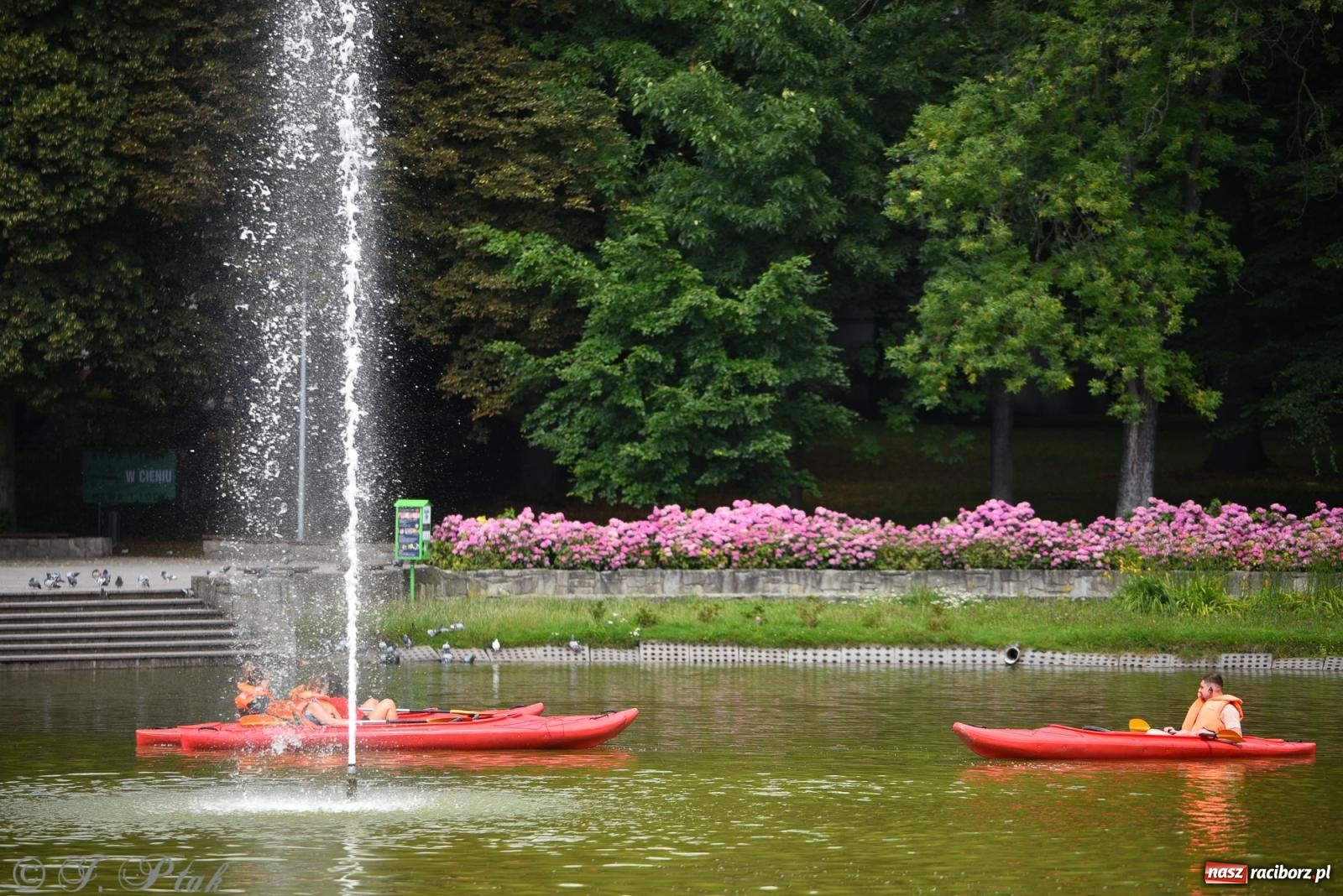 Zdjęcie w galerii na portalu naszraciborz.pl: Pożegnanie lata z Fundacją PORT – bezpłatny spływ kajakowy w Parku im. Miasta Roth wiadomości z regionu