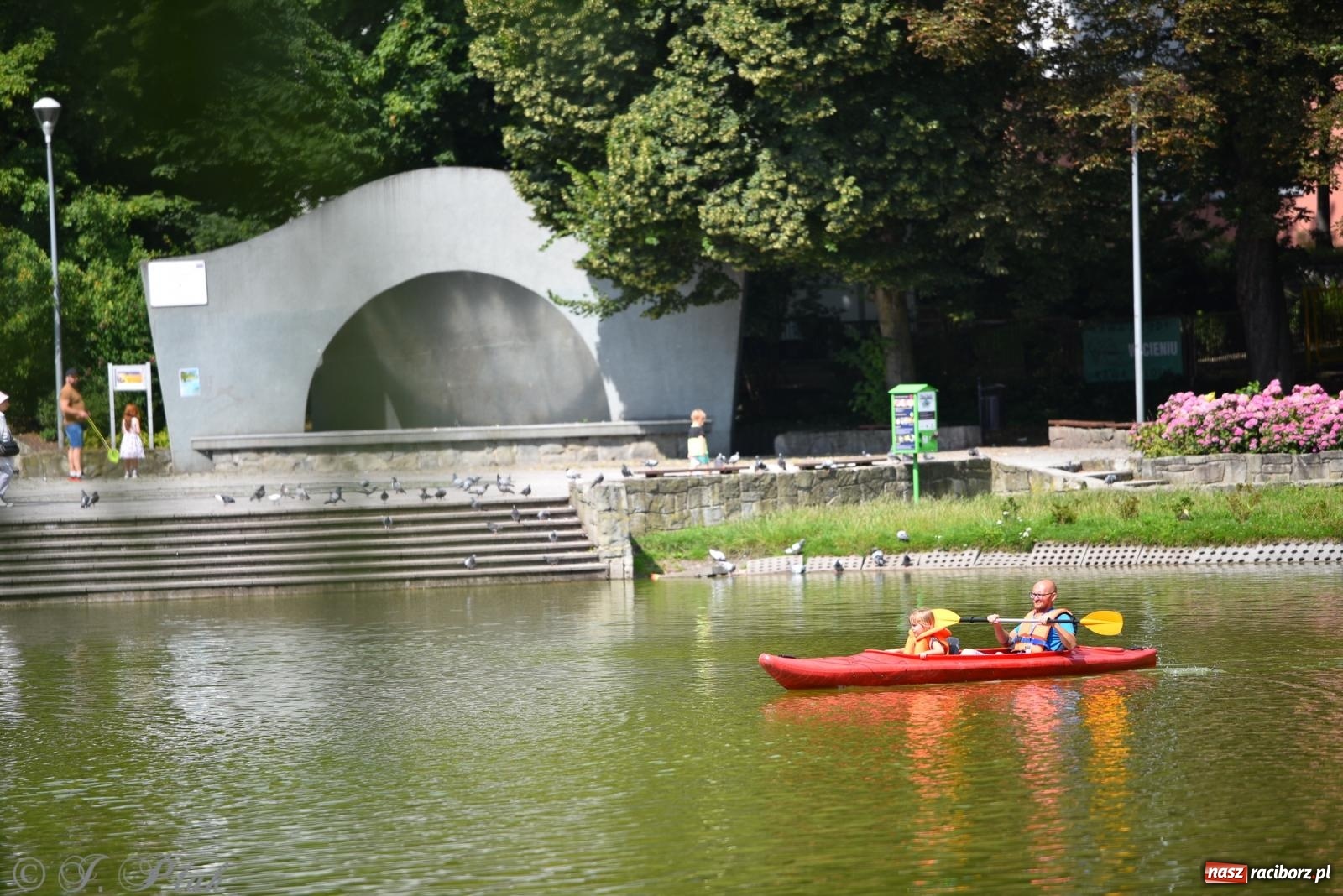 Zdjęcie w galerii na portalu naszraciborz.pl: Pożegnanie lata z Fundacją PORT – bezpłatny spływ kajakowy w Parku im. Miasta Roth wiadomości z regionu