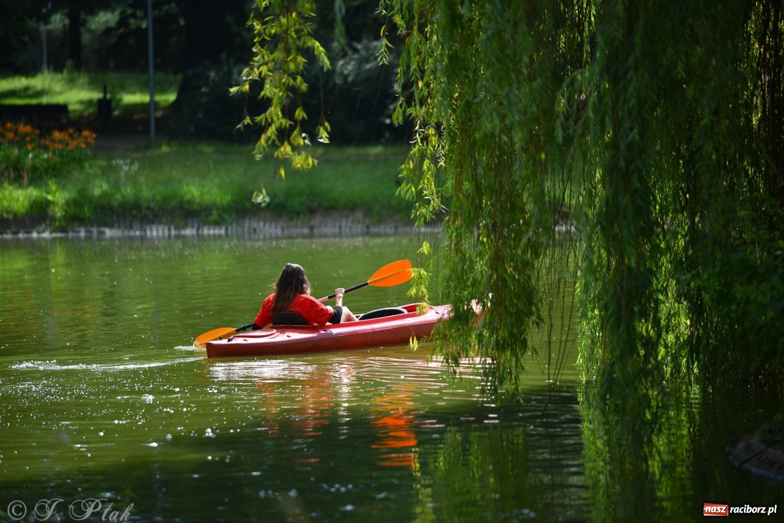 Zdjęcie w galerii na portalu naszraciborz.pl: Pożegnanie lata z Fundacją PORT – bezpłatny spływ kajakowy w Parku im. Miasta Roth wiadomości z regionu