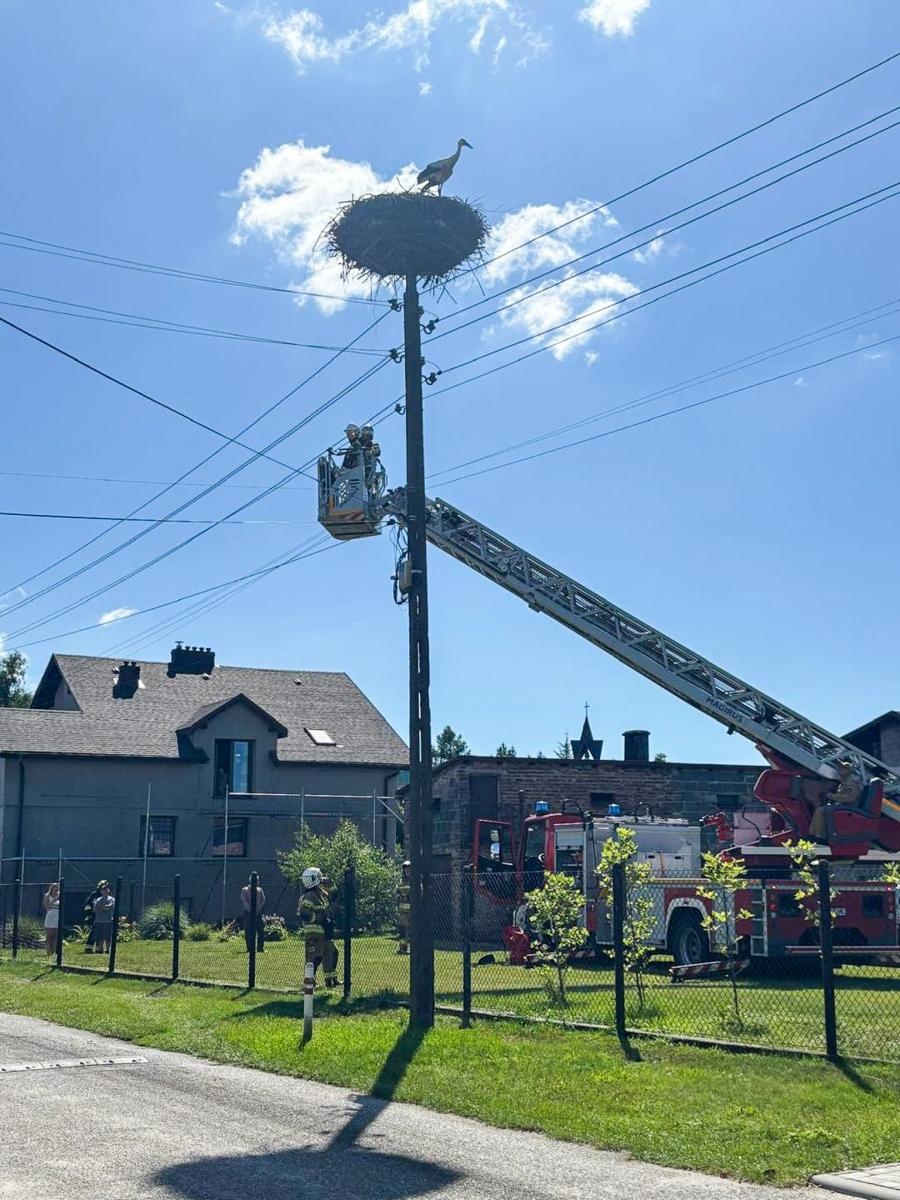 Zdjęcie w galerii na portalu naszraciborz.pl: Strażacy uratowali rannego bociana w Górkach Śląskich wiadomości z regionu