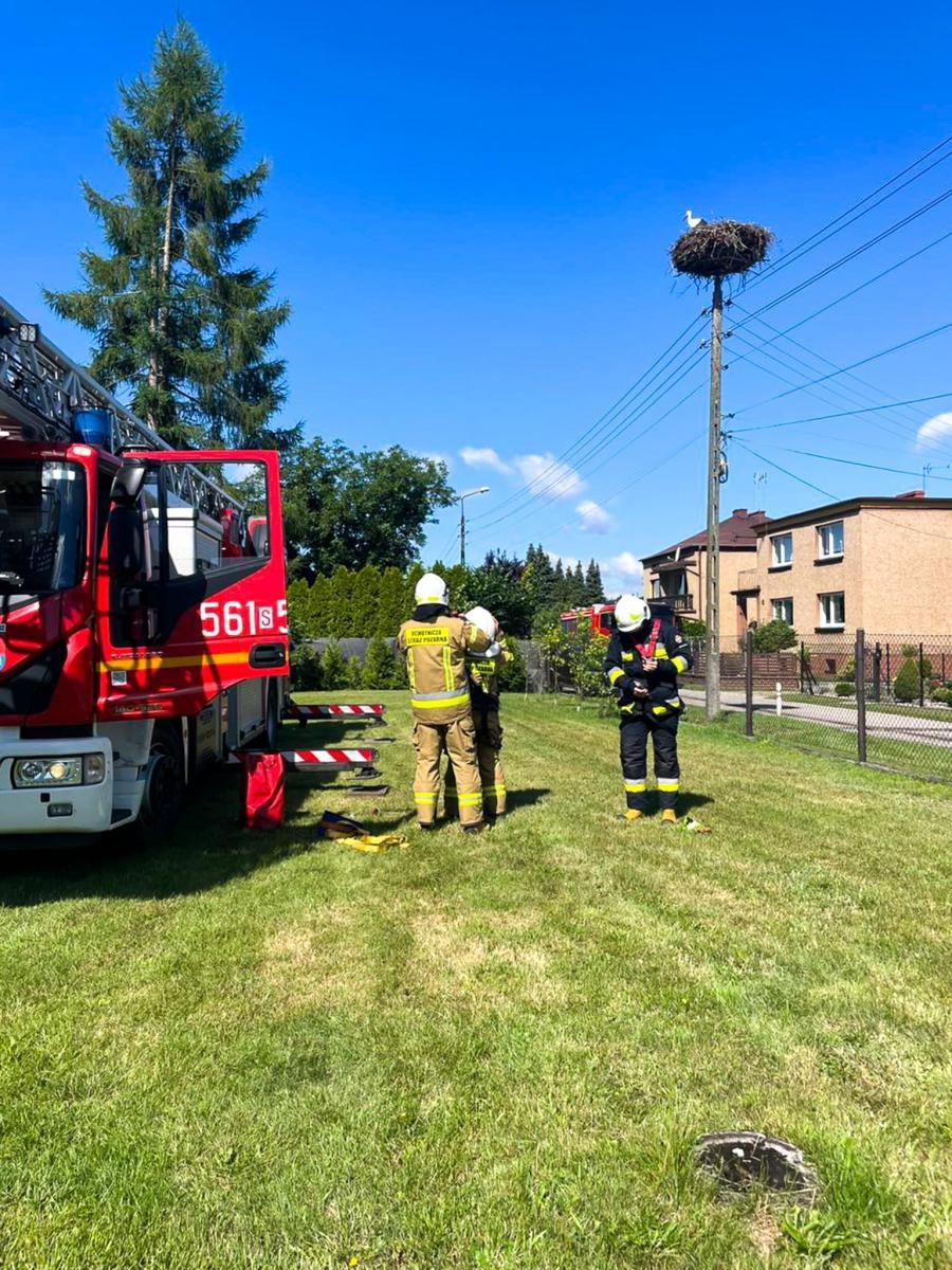 Zdjęcie w galerii na portalu naszraciborz.pl: Strażacy uratowali rannego bociana w Górkach Śląskich wiadomości z regionu