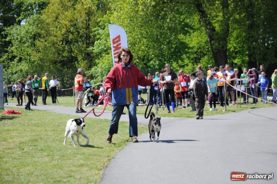 Zdjęcie w galerii na portalu naszraciborz.pl: Cała Polska biega z mapą wiadomości z regionu