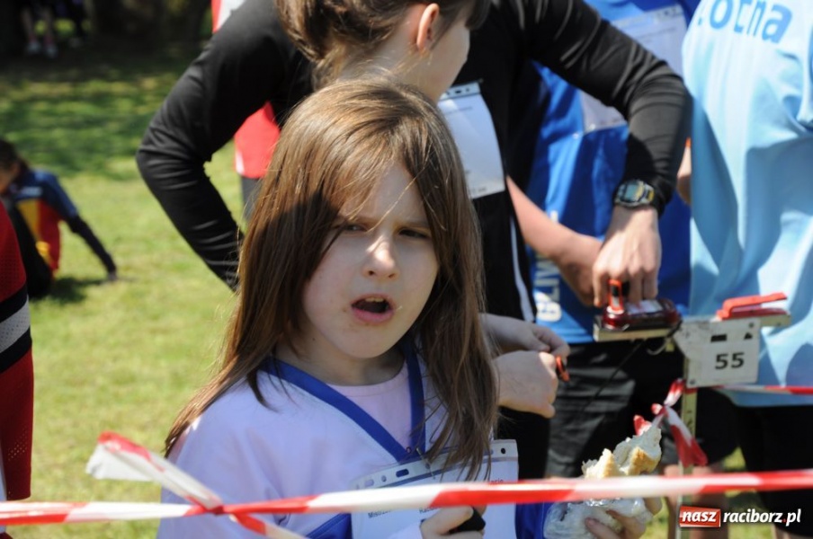 Zdjęcie w galerii na portalu naszraciborz.pl: Cała Polska biega z mapą wiadomości z regionu
