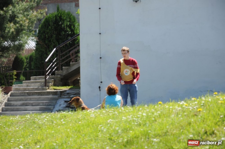 Zdjęcie w galerii na portalu naszraciborz.pl: Cała Polska biega z mapą wiadomości z regionu