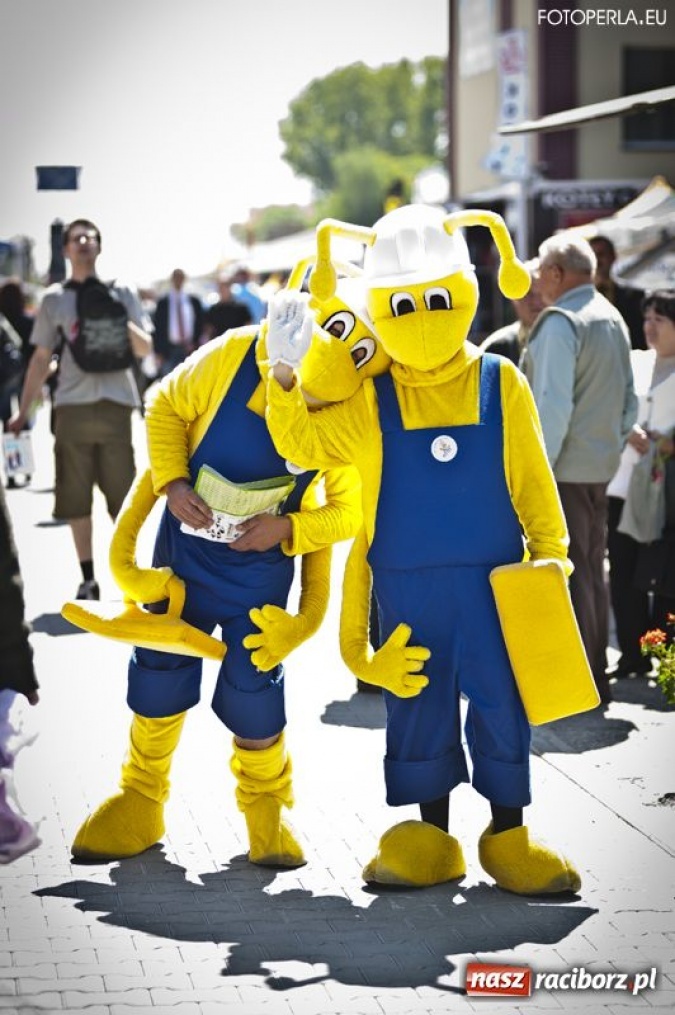 Zdjęcie w galerii na portalu naszraciborz.pl: Pierwszy dzień Eko-Wystawy za nami wiadomości z regionu