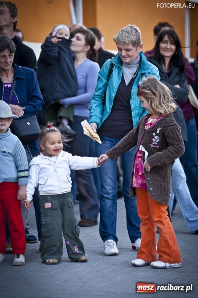 Zdjęcie w galerii na portalu naszraciborz.pl: Pierwszy dzień Eko-Wystawy za nami wiadomości z regionu