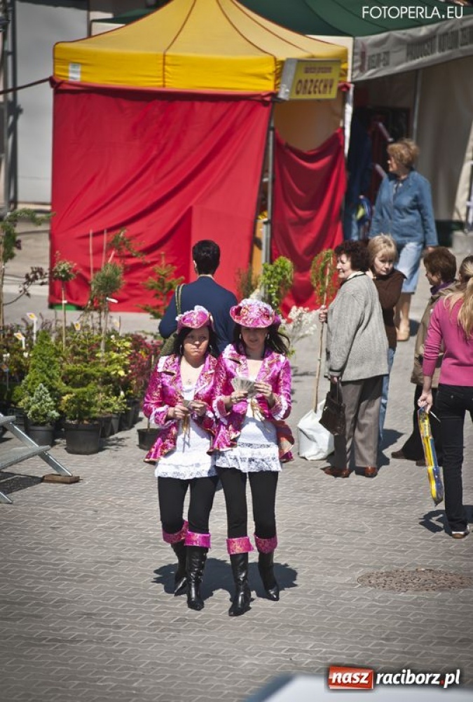 Zdjęcie w galerii na portalu naszraciborz.pl: Pierwszy dzień Eko-Wystawy za nami wiadomości z regionu