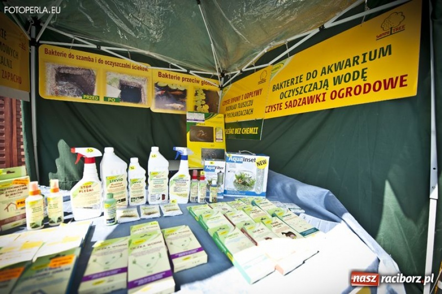 Zdjęcie w galerii na portalu naszraciborz.pl: Pierwszy dzień Eko-Wystawy za nami wiadomości z regionu