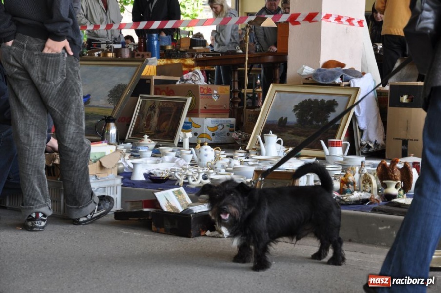 Zdjęcie w galerii na portalu naszraciborz.pl: Tłumy na jarmarku w Chałupkach wiadomości z regionu